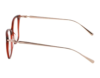 Seitenansicht Scotch and Soda 503003 (239)