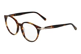 Scotch and Soda 503026 102 Braun