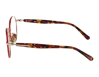 Seitenansicht Scotch and Soda 503028 (401)