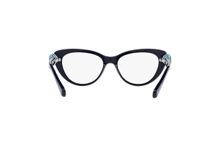 Rückansicht Swarovski SK2005 (1004)