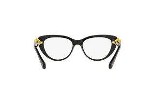 Rückansicht Swarovski SK2005 (1037)