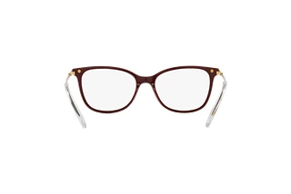 Rückansicht Swarovski SK2010 (1008)