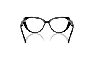 Rückansicht Swarovski SK2014 (1015)