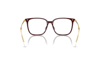 Rückansicht Swarovski SK2016D (1008)