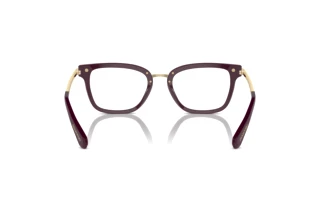 Rückansicht Swarovski SK2018 (1044)