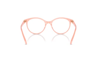 Rückansicht Swarovski SK2019 (1041)