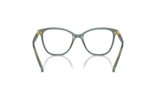 Rückansicht Swarovski SK2020 (1043)