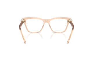 Rückansicht Swarovski SK2021 (1063)