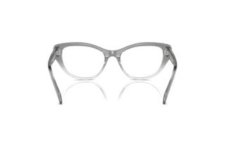 Rückansicht Swarovski SK2023 (1046)