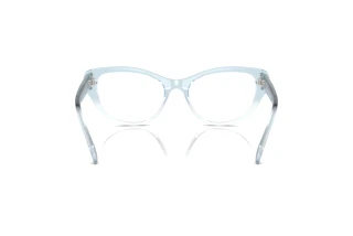 Rückansicht Swarovski SK2023 (1047)