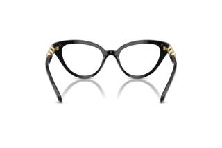 Rückansicht Swarovski SK2028 (1001)