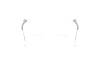 Rückansicht Swarovski SK2046 (1027)