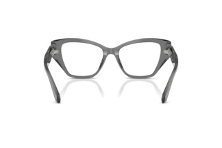 Rückansicht Swarovski SK2050U (1072)