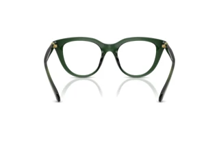 Rückansicht Swarovski SK2052 (1043)