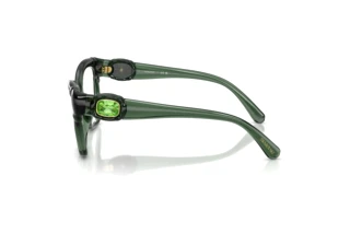 Seitenansicht Swarovski SK2056U (1043)