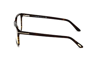 Seitenansicht Tom Ford FT5479-B (052)