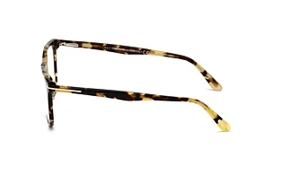 Seitenansicht Tom Ford FT5506 (055)