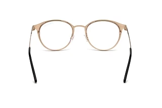 Rückansicht Tom Ford FT5528-B (002)