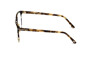 Seitenansicht Tom Ford FT5544-B (055)