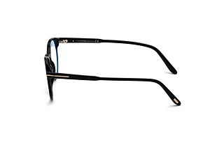 Seitenansicht Tom Ford FT5695-B (001)