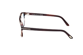 Seitenansicht Tom Ford FT5901-B (050)