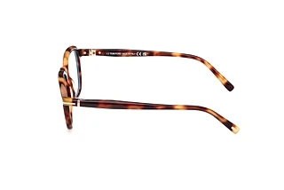 Seitenansicht Tom Ford FT5980-B (053)