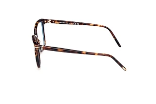 Seitenansicht Tom Ford FT5989-B (052)