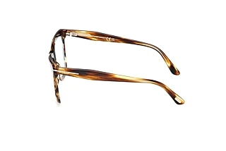 Seitenansicht Tom Ford FT6064-B (055)
