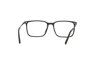 Rückansicht Tommy Hilfiger TH 2019 (003)