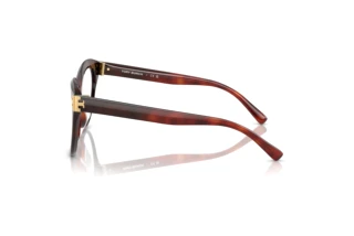 Seitenansicht Tory Burch TY2154U (2011)