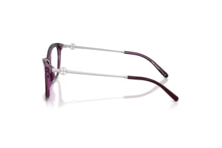 Seitenansicht Tory Burch TY2165U (2050)