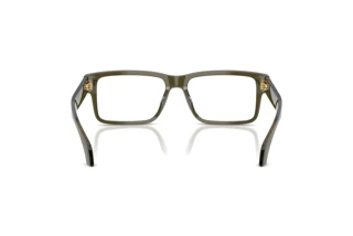 Rückansicht Versace VE3391U (5542)