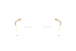 Rückansicht Versace VE3393D (148)