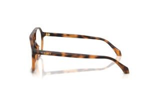 Seitenansicht Versace VE3397U (5264)