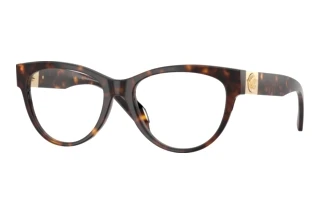 Vorderansicht Versace VE3402U (108)