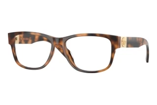 Vorderansicht Versace VE3403U (5264)