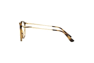 Seitenansicht Vogue Eyewear VO5387 (W656)