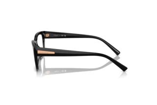 Seitenansicht Vogue Eyewear VO5609 (W44)