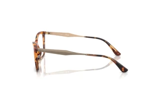 Seitenansicht Vogue Eyewear VO5624 (3200)