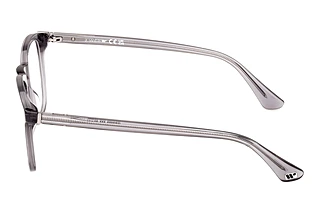 Seitenansicht Web Eyewear WE5386 (020)