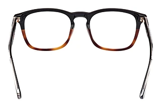 Rückansicht Web Eyewear WE5386 (056)