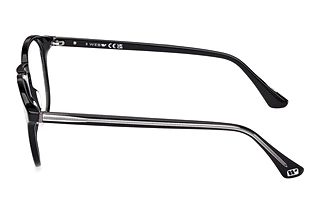 Seitenansicht Web Eyewear WE5387 (003)