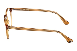 Seitenansicht Web Eyewear WE5387 (039)