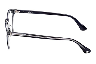 Seitenansicht Web Eyewear WE5387 (092)