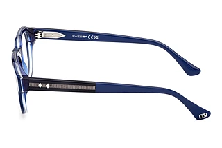 Seitenansicht Web Eyewear WE5421 (092)