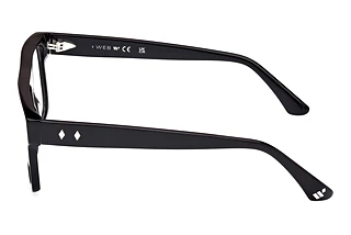 Seitenansicht Web Eyewear WE5426 (001)