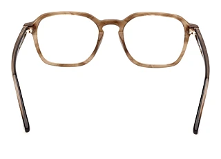 Rückansicht Web Eyewear WE5428 (051)