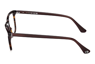 Seitenansicht Web Eyewear WE5430 (052)