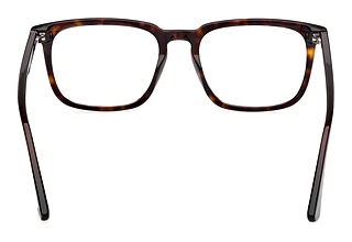 Rückansicht Web Eyewear WE5430 (052)