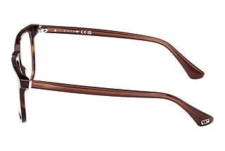 Seitenansicht Web Eyewear WE5430 (056)